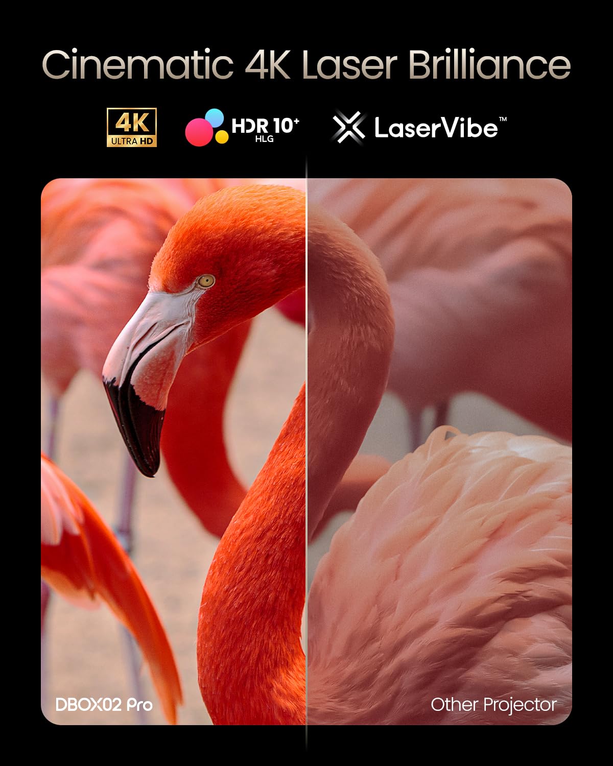 Dangbei 4K Vidéoprojecteur avec Google TV & Netflix, 2000 Lumens ISO, Stand intégré, 3D, Auto Keystone/Focus, Vidéoprojecteur Home Cinéma WiFi et Bluetooth (DBOX02 Pro)