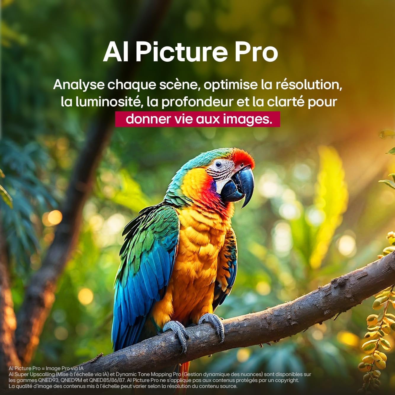 LG TV QNED Evo AI 2025 | 55QNED85A | 55'' (139 cm) | MiniLED 120Hz | Processeur α8 AI 4K Gen2 |Dolby Vision | Alexa